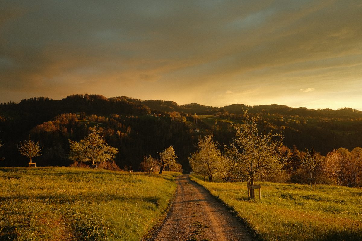 Blick über das Tösstal vom Althörnli