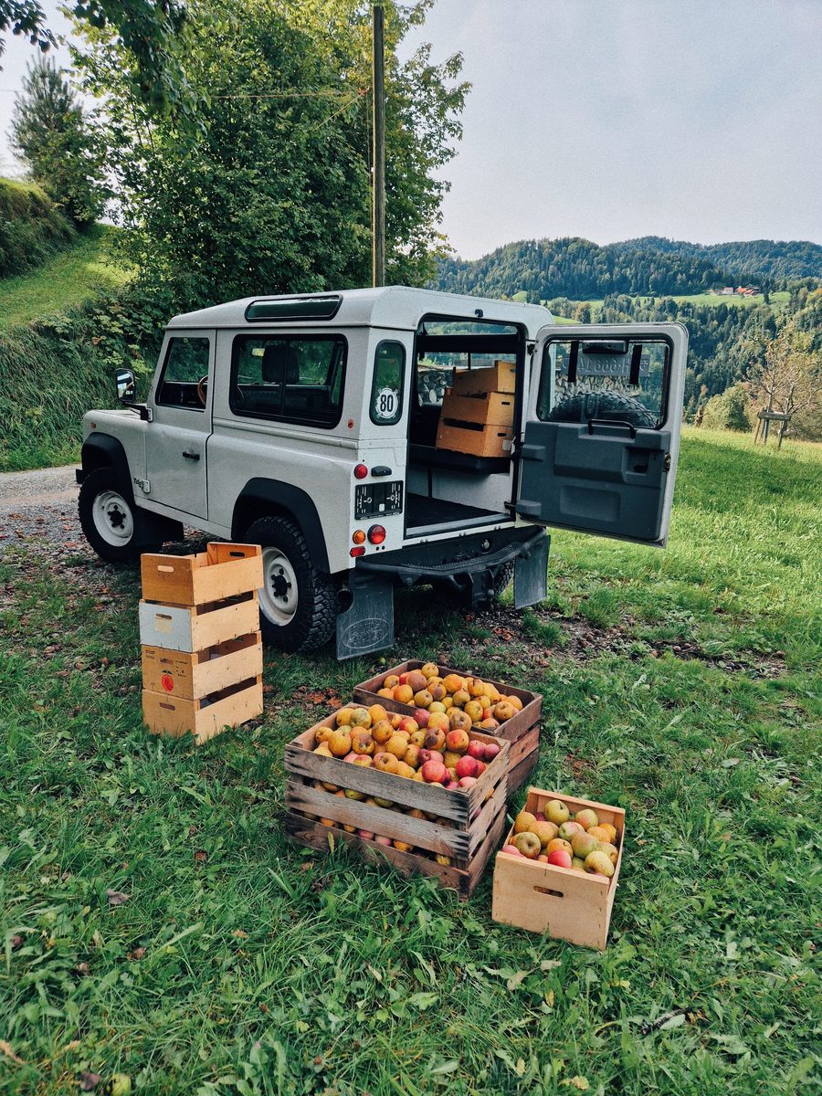 Cider vom Althörnli