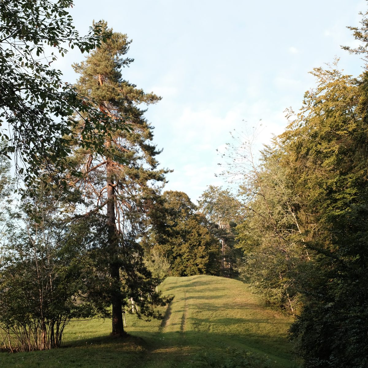 Übernachten in der Natur Althörnli